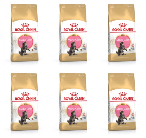 Maine coon cibo secco per - cibo,