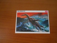 FIGURINA COLLEZIONE SCHEDE