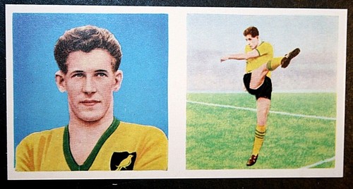 Scheda calcio norwich city - norwich,