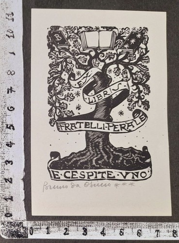 Wunderkammer exlibris 383 - pl,