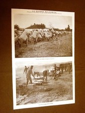 Guerra in Serbia e Montenegro nel 1912 Forzati di Serbia Cucine campo a Vranja