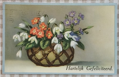 Cartolina auguri olanda - cartolina,