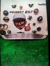 1490374 Griglia Cofano