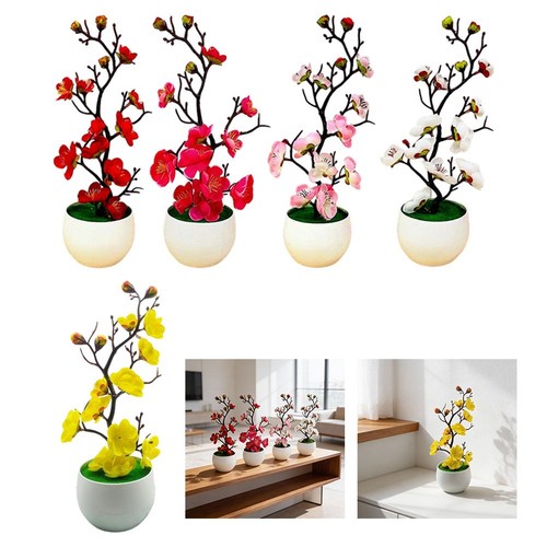 Bonsai fiori prugna - di, di
