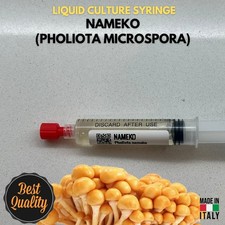 Fungo Nameko Coltura Liquida