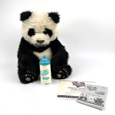 RARA PELLICCIA 2004 VERI AMICI