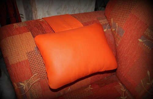 Pelle cuscino per - pelle, collo