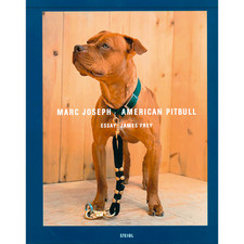 American Pitbull Marc Joseph
