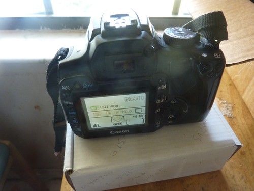 Canon eos digital - canon, rebel