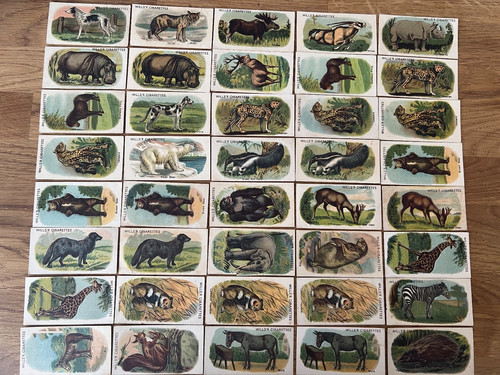 Wills animals - wills,