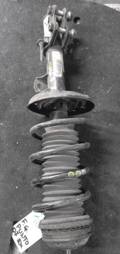 Ammortizzatore ant fiat - ant., sx