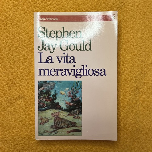 Vita meravigliosa i - vita, meravigliosa.