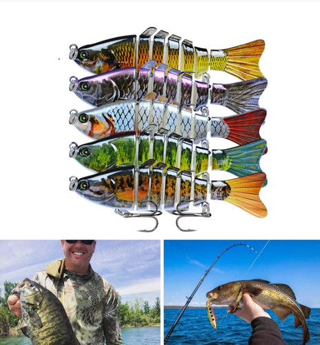 Esca pesca segmenti - da, 7