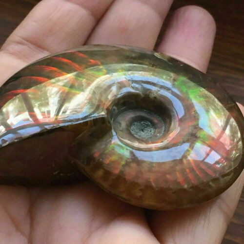 Ammolite stone facet - ammolite,