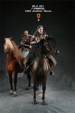 Statua cavallo arabo Mr.Z modello animale 1/6 equidi arabi destriero giocattolo da collezione regalo