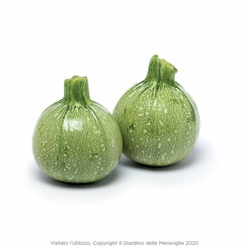 Bustina semi zucca - zucca, zucchino