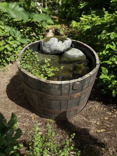 Mezza botte whisky vera - whisky, in