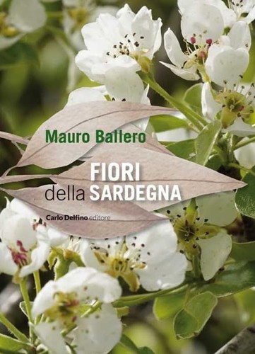 Fiori della sardegna - fiori,