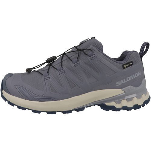 Salomon pro v9 - 3d,