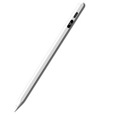 Penna stilografica per iPad