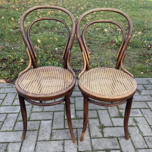 Sedia classica legno - classica, in