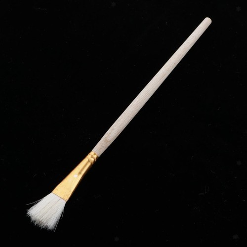 Spazzola con manico legno - con, in