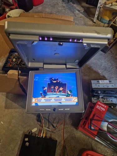 Monitor tetto blaupuntk - da,