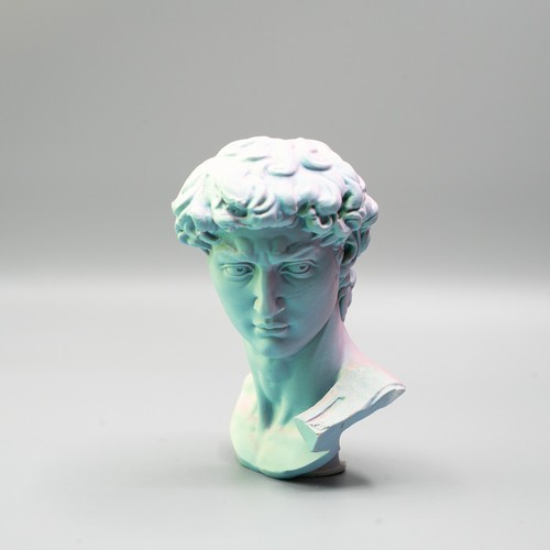 Busto david michelangelo 10 - busto, di