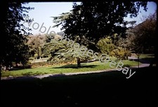 1962 Villa Borghese Vista