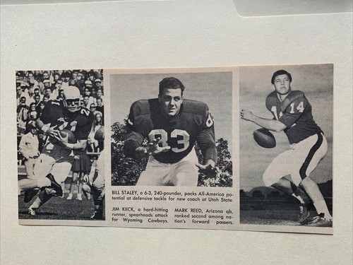 Jim kiick staley - kiick, wyoming