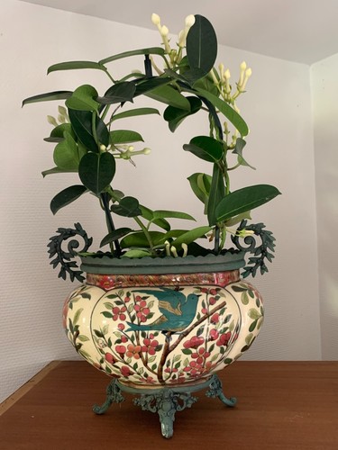 Magnifique jardiniere - magnifique, ou