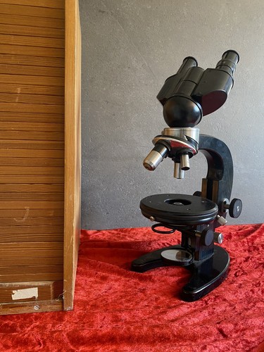 Microscopio stereo zeiss jena - microscopio,