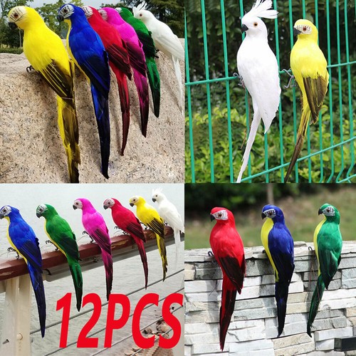 12pz 25cm pappagallo - 12pz,
