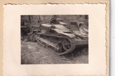 Foto su cartone - piccolo
