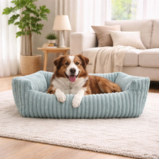 Cuccia per cani cuscino divano