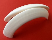 COPPIA DI ZANNE DI CINGHIALE