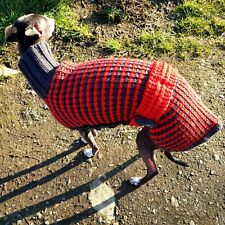 Maglione maglia cucciolo levriero/whippet italiano