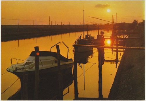 Casal borsetti tramonto - -,