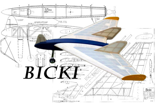 Bicki delta wing pusher - wing, 55"