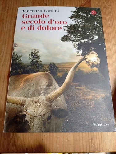 Grande secolo oro di - secolo,