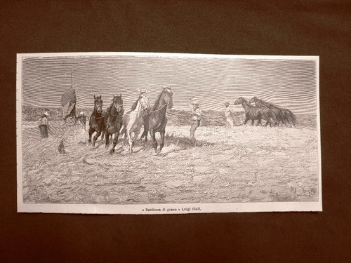 Battitura del grano quadro - battitura,