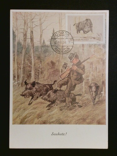 Ungheria 1964 cinghiale - ungheria, mk