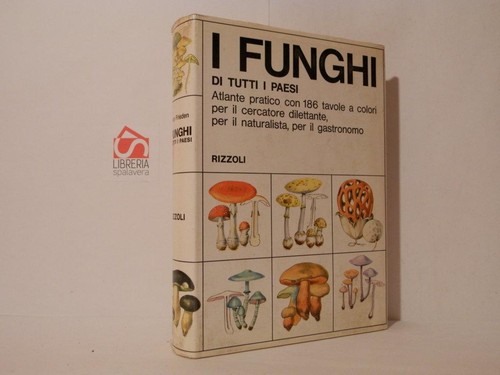 Funghi tutti i paesi - funghi,