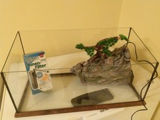 Tartarughiera in vetro,  fronte/retro con filtro.