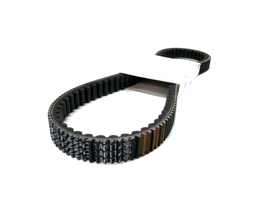 Cinghia trasmissione rulli - cinghia,