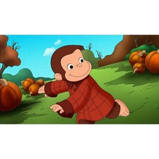 Cialda La Scimmietta George