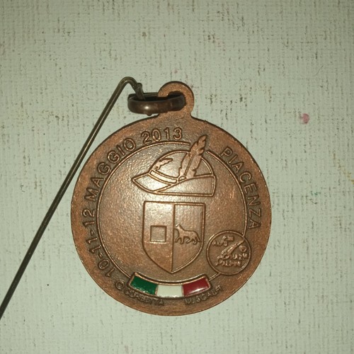 Medaglia adunata nazionale - 86,