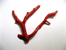 Ramo Corallo Naturale Rosso scuro  mm 58x69  