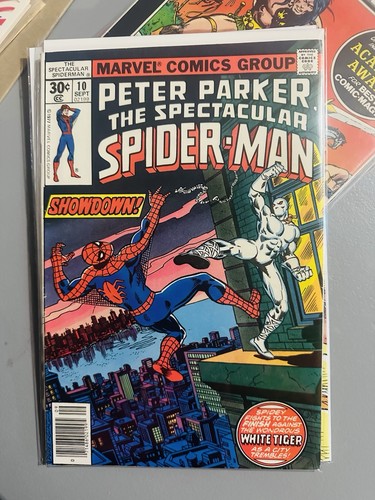 Spettacolare spider man 10 - spettacolare, #10