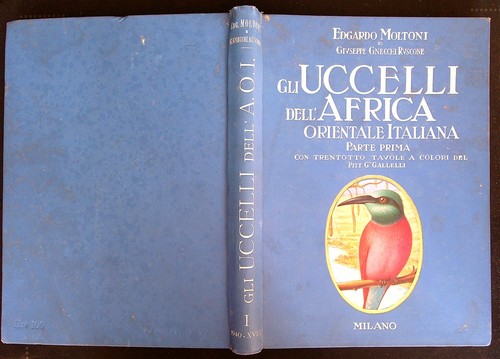 Gli uccelli dell africa - gli, dell'africa